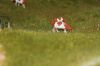 008_eck_muehle_1063