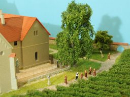 031 Kloster Bebenhausen