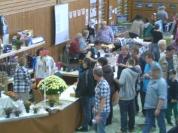 ausstellung_2013_es_1063